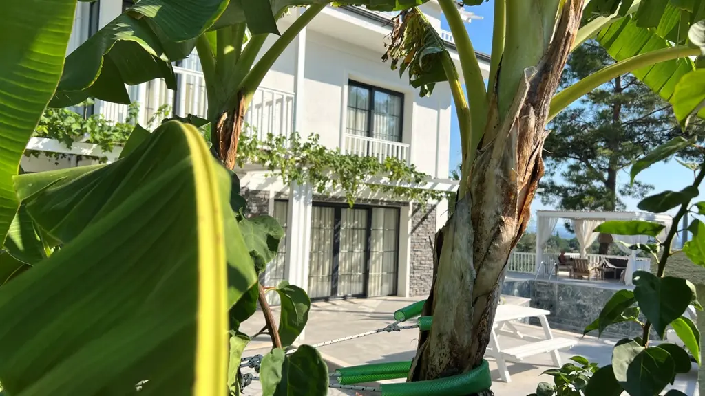 Home in Seydikemer